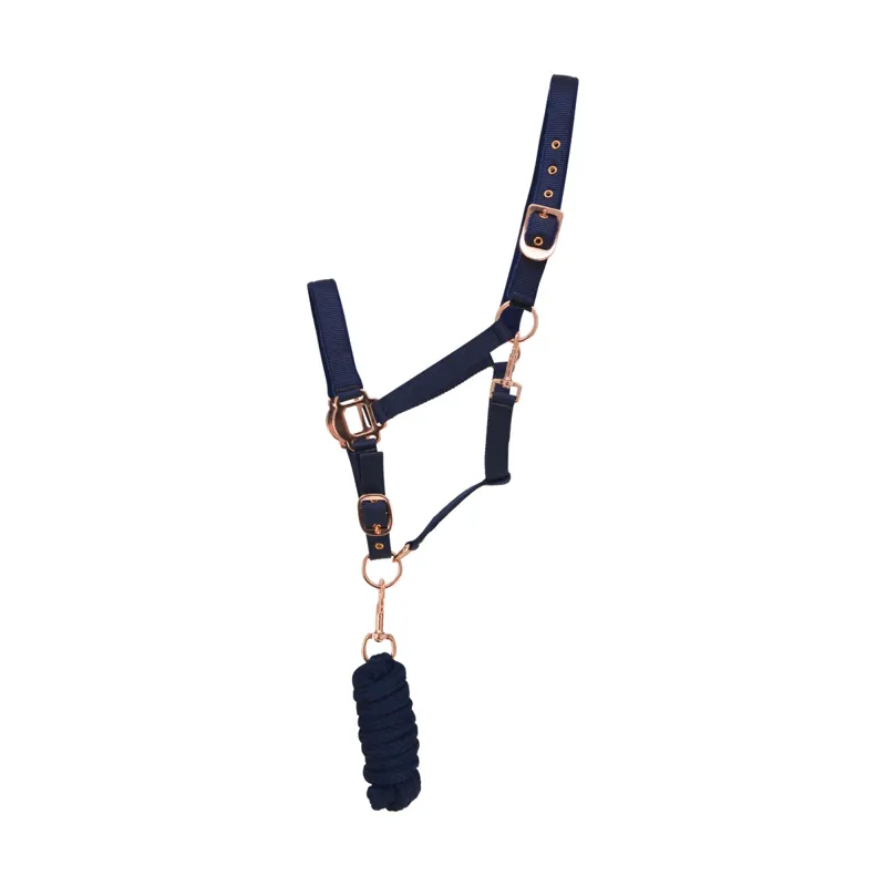 Hy Rose Gold Headcollar and Leadrope Set in Navy